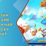 Bắn Cá Săn Boss - Game Thử Thách Hấp Dẫn Và Gay Cấn Nhất 5 Ban Ca San Boss