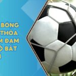 Cá Cược Bóng Đá - Nơi Thỏa Mãn Niềm Đam Mê Cá Độ Bất Tận 5 Ca Cuoc Bong Da